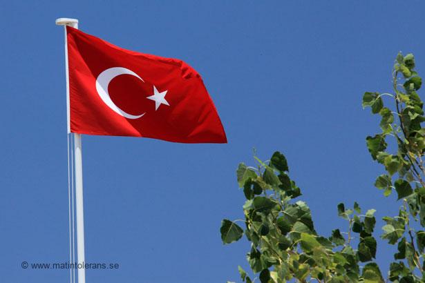 Vad säger en läkare i Turkiet om mjölkallergi, veteallergi och sojaallergi?