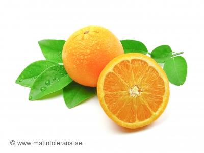 Är citrusallergi sällsynt i Sverige och Europa?