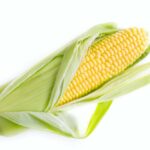 Majsallergiker och glutenintoleranta, se upp med nya nedbrytbara material i engångsartiklar